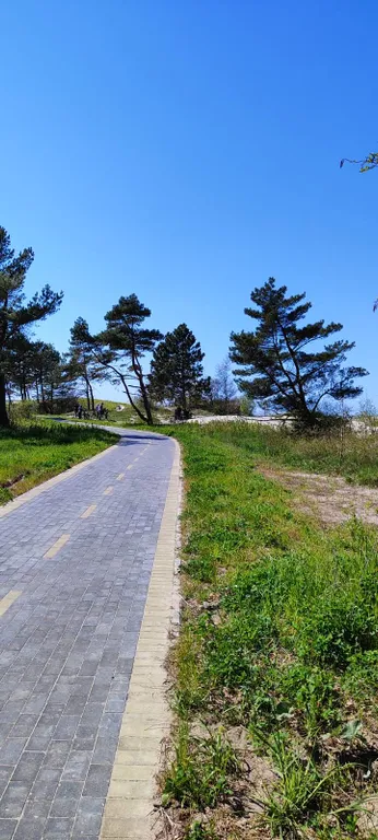 Квартира Квартира Море волнуется без тебя — Пионерский