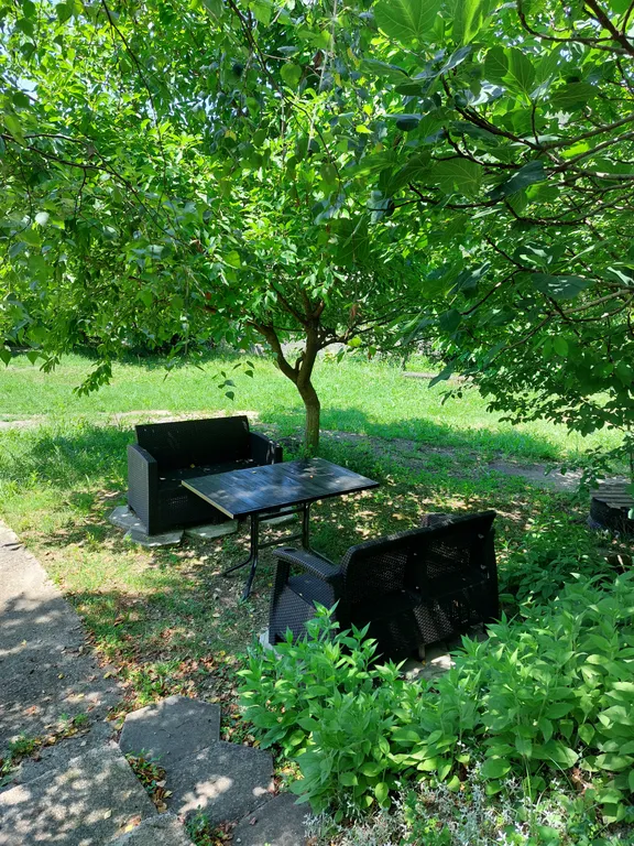 Уютный дом с камином на опушке леса