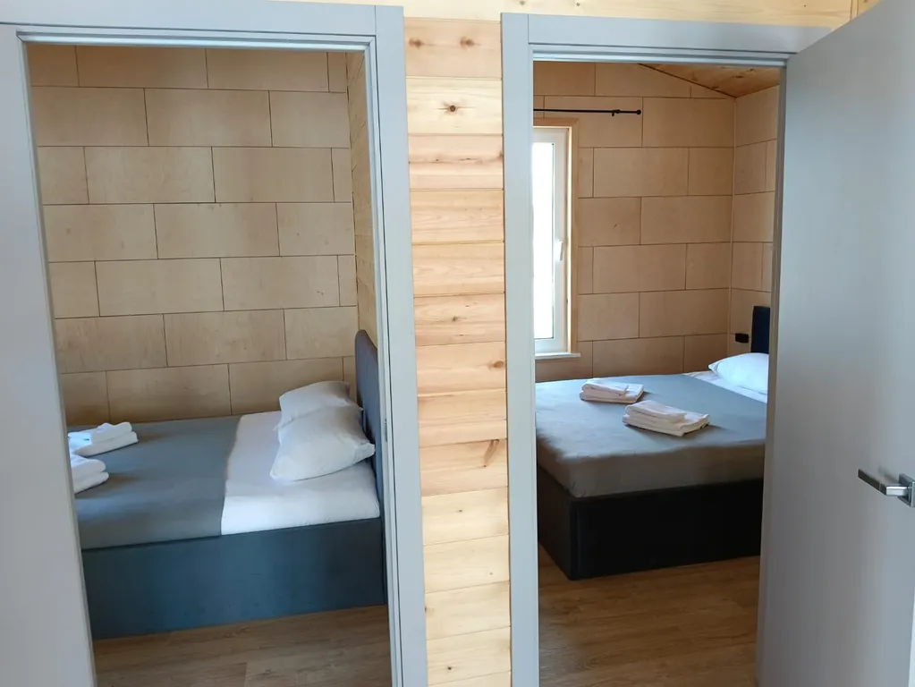 Виноградная лоза