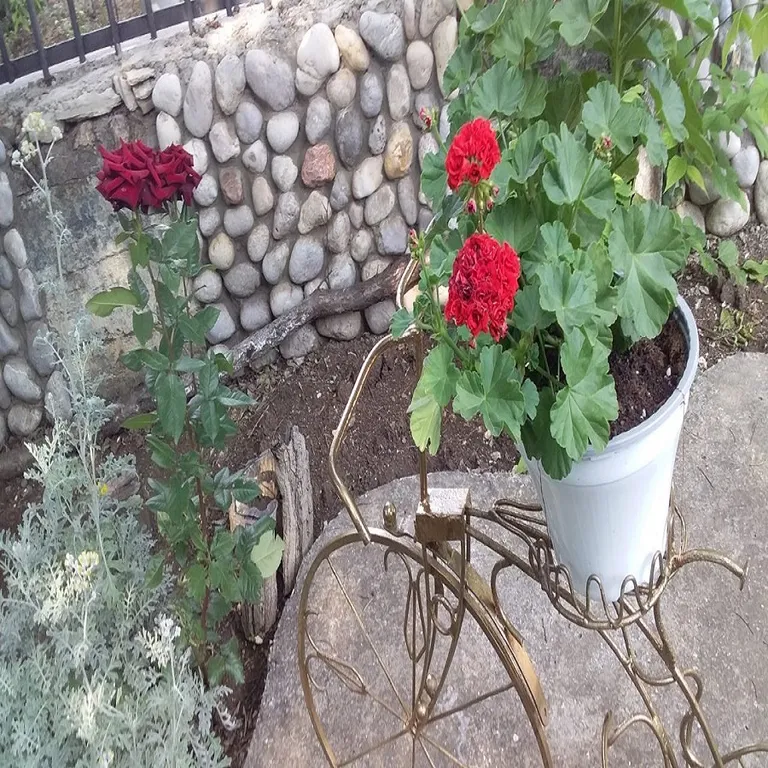 Коттедж у моря с террасой