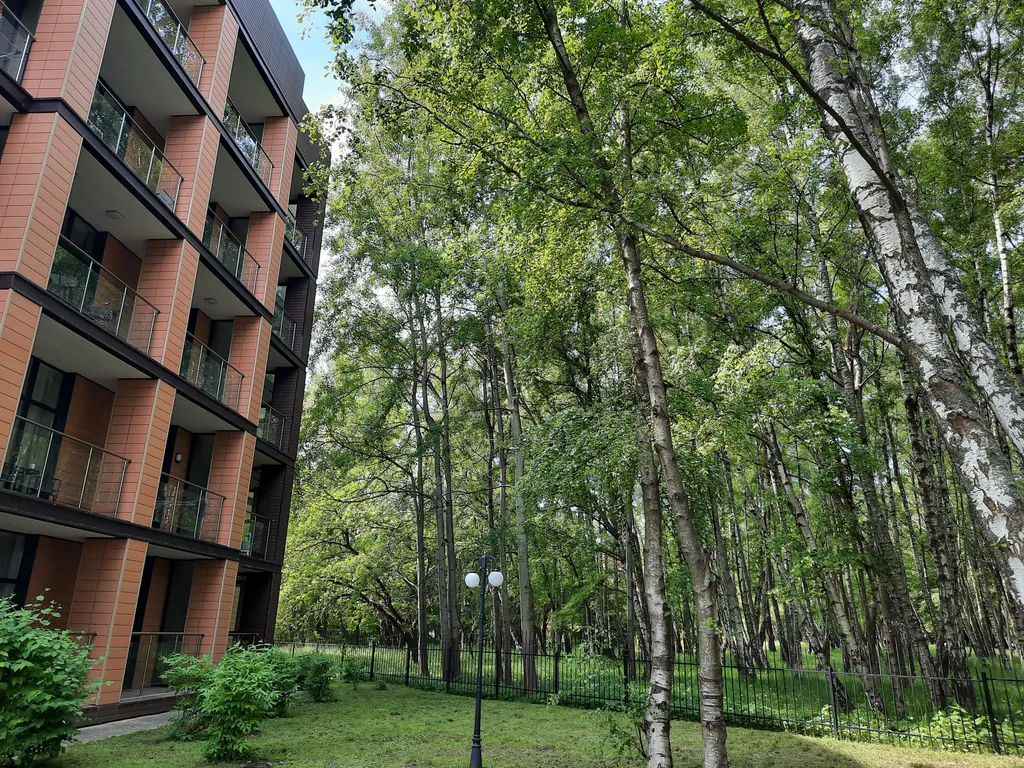 Квартира Апартаменты с видом на море — Светлогорск