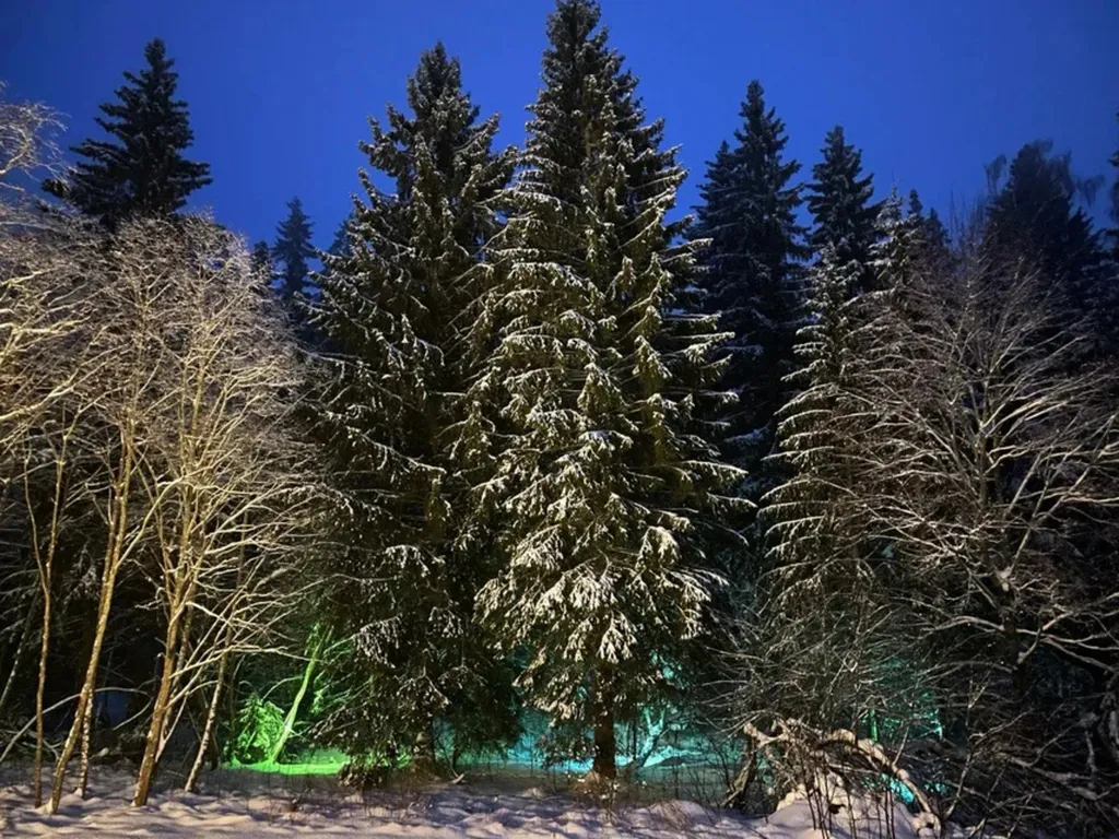 Барн с панорамными окнами с видом на дикий лес