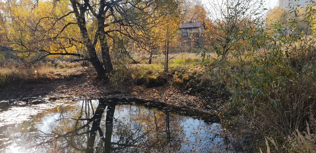 Коттедж 3-комнатный Дом — Москва