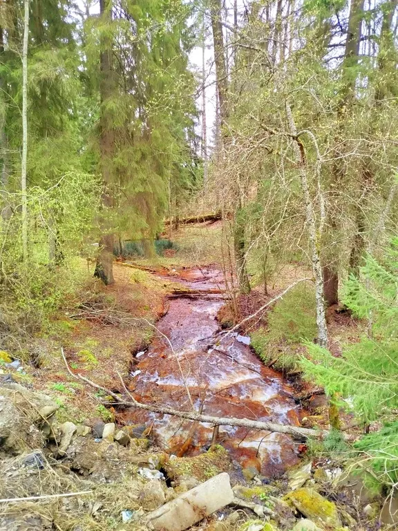 Коттедж у леса Scandi Sweet Home