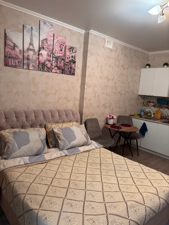 Тесла Дом уютная студия