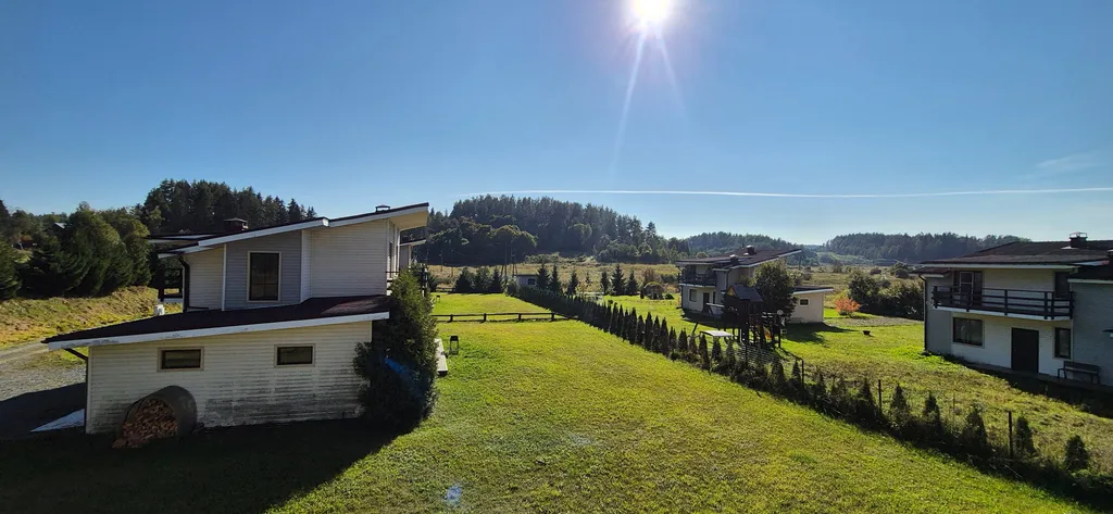 Куркиёки у леса