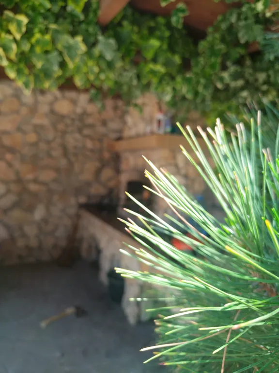 Замок у мыса Фиолент