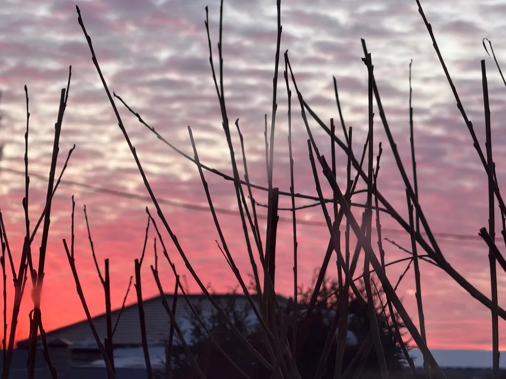 Уютный дом в соснах для семейного отдыха