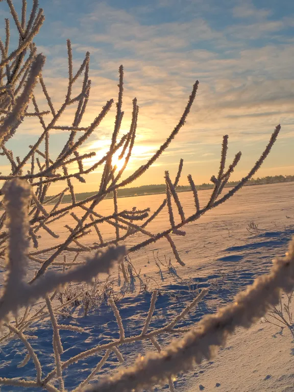 Коттедж Уютный дом у озера — Волосово