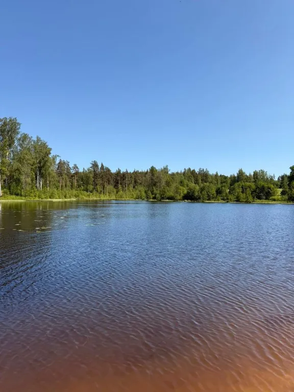 Коттедж Коттедж Среда обитания — Снегиревка