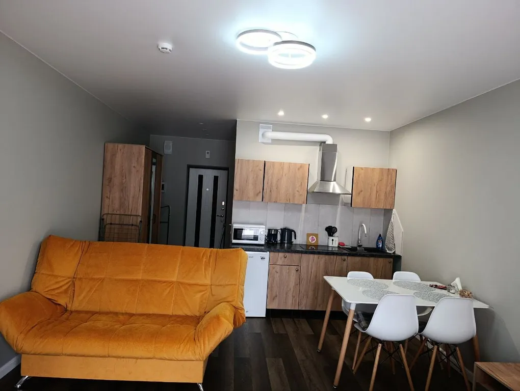 Квартира Квартира Уютная студия — Светлогорск