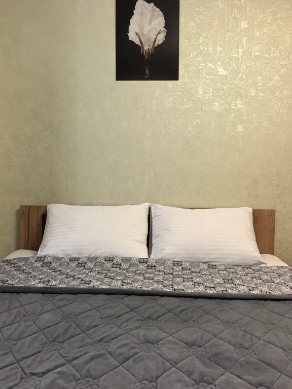 1-комнатная квартира в центре Владикавказа