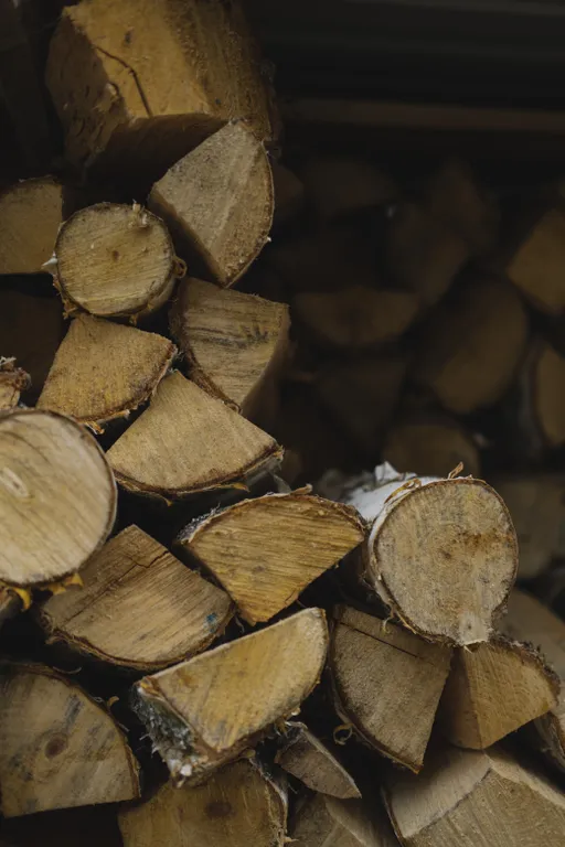 Дом в стиле A-fram