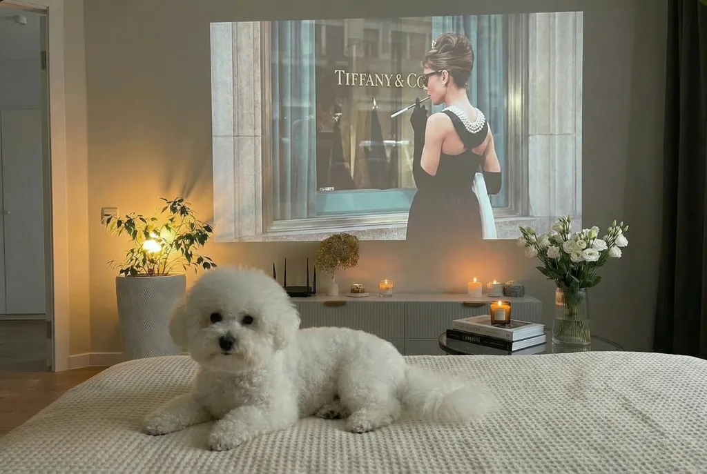 Современная квартира с проектором