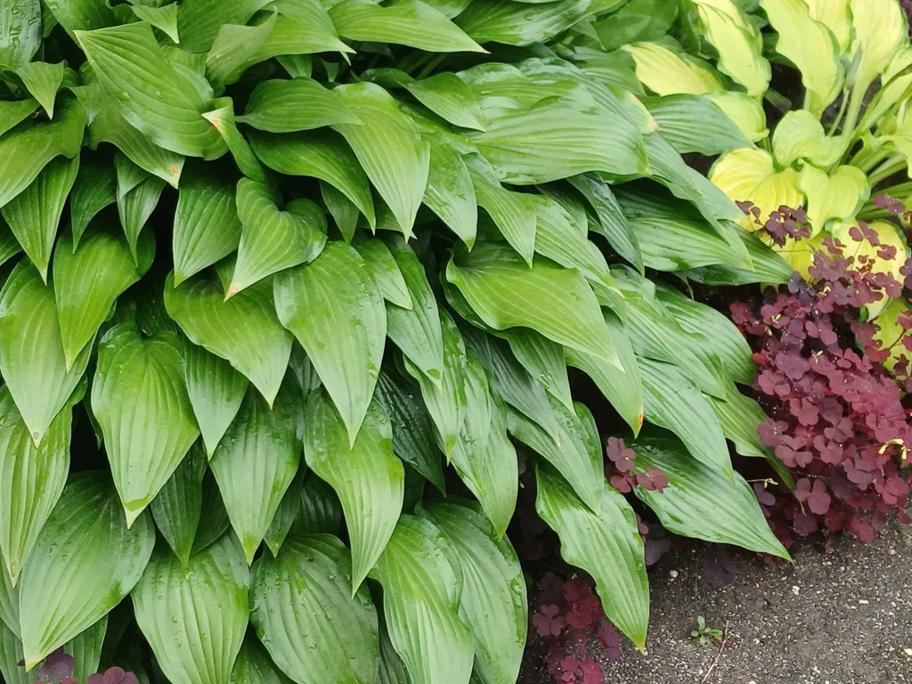 Коттедж Небольшой летний домик — Ейск