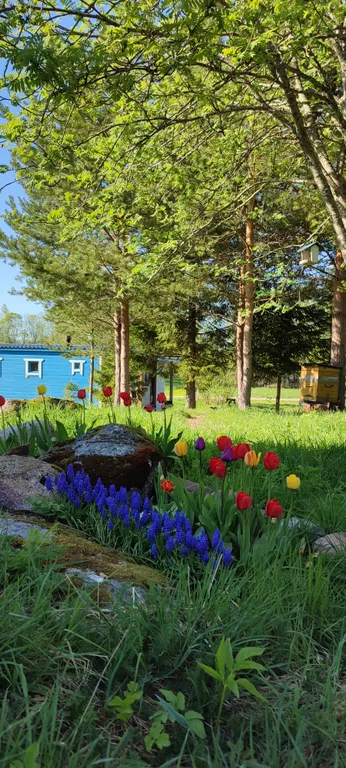 Коттедж Тёплый коттедж с баней на очень большой уединённой территории — Кротово