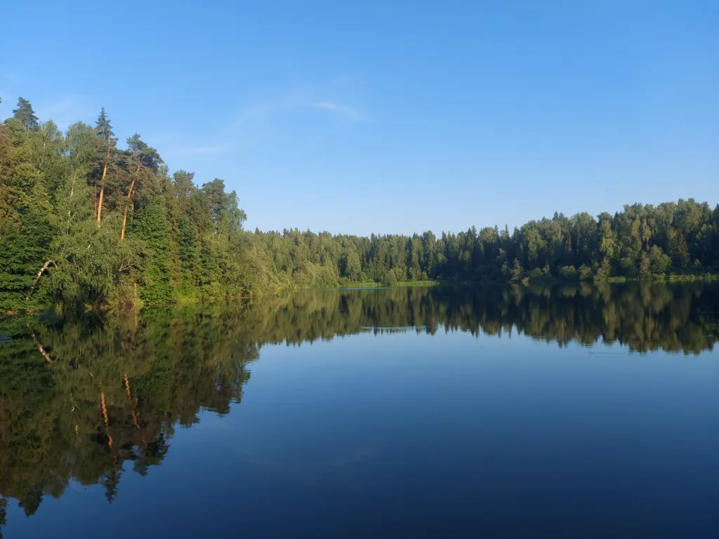 Дом изба в деревне с бассейном и баней