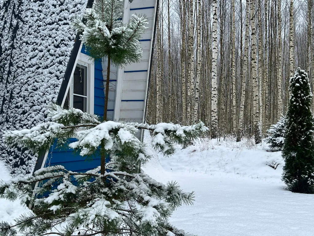 Уютный A-Frame в лесном массиве на берегу реки