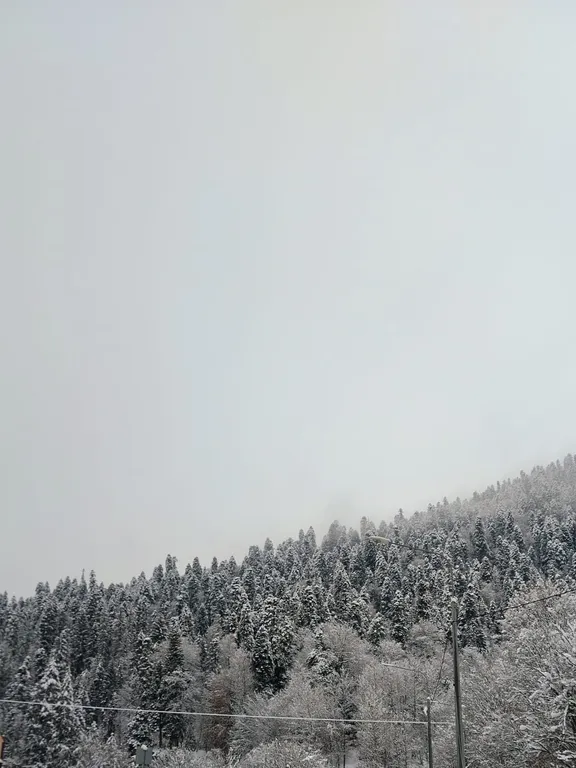 Просторная однушка в центре Домбая