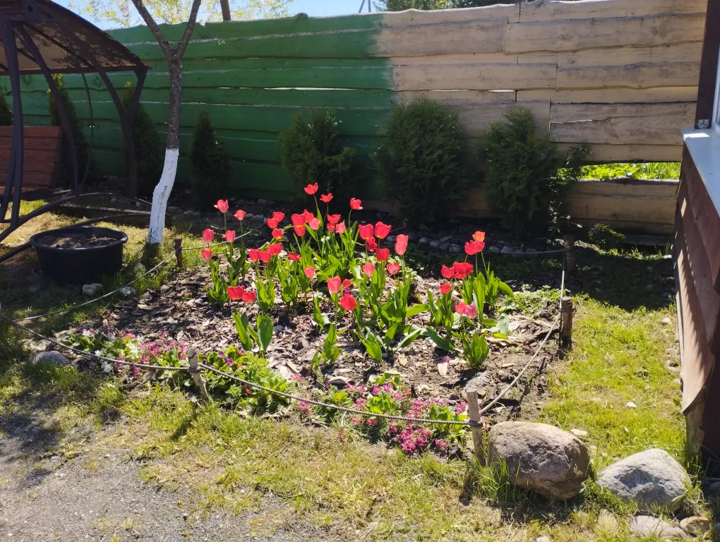 Коттедж на озере Нарочь