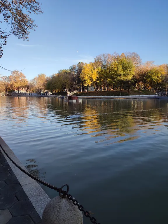 Уютная квартира рядом с метро Мирзо Улугбек и парком Гафур Гуляма