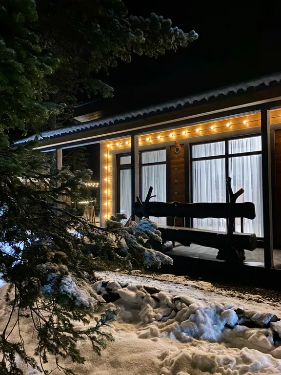 Дом с видом на лес