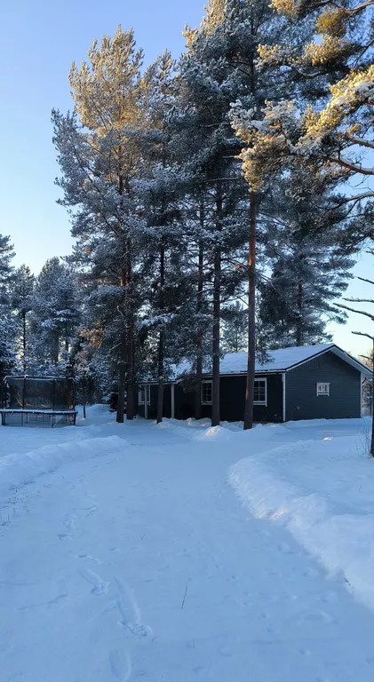 Haavejärvi - озеро мечты! Уютный дом на берегу озера в сосновом лесу