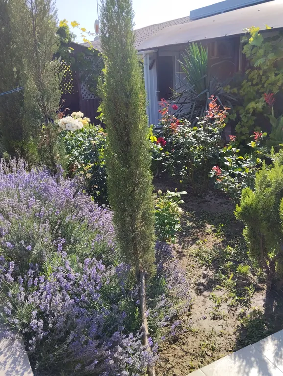 Четырехместный комфорт в загородном доме