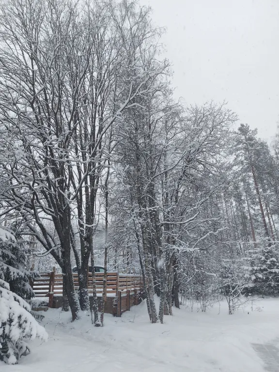 SkiLife уютный дом у горнолыжных курортов