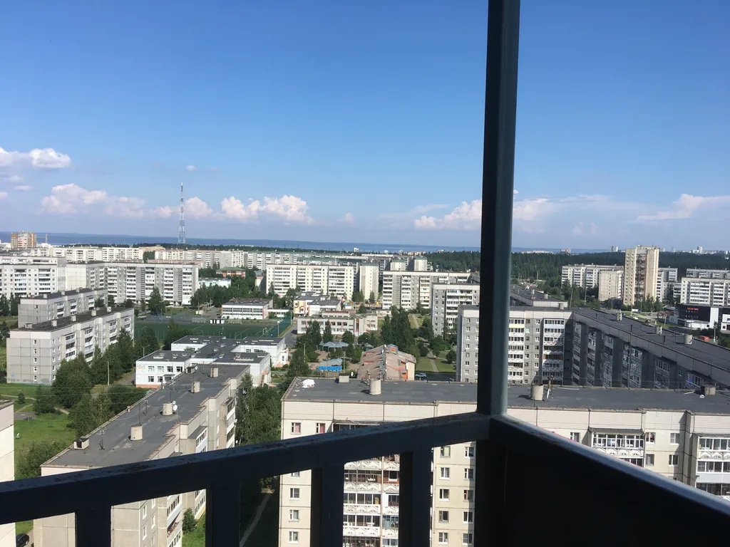 Большие и светлые апартаменты с лоджией в центре Древлянки