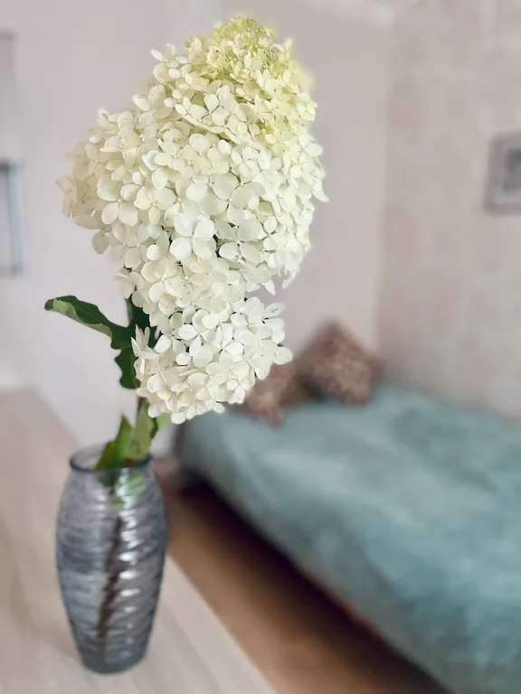 Квартира Уютная двухкомнатная квартира в самом центре — Великий Новгород