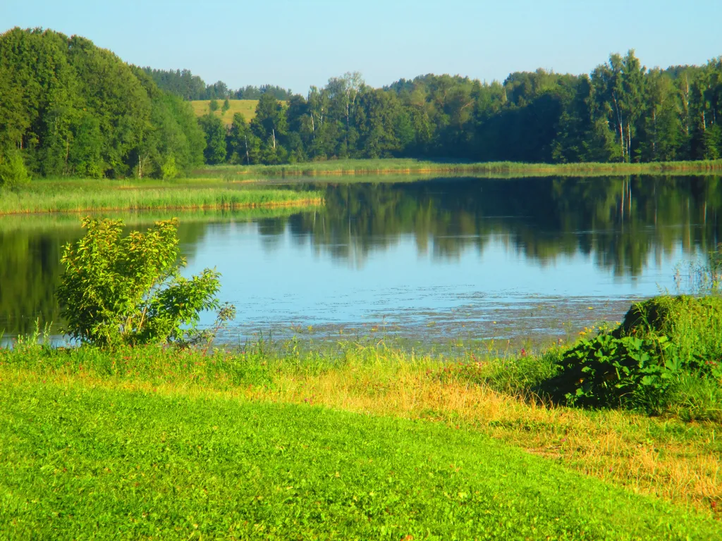 Коттедж на хуторе на Браславских озерах