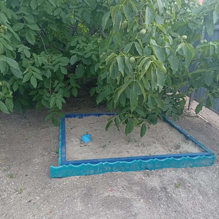 Дом без хозяев