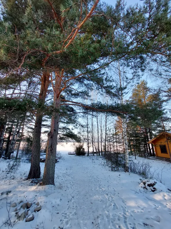 Уютный дом с прекрасным видом на лес и озеро