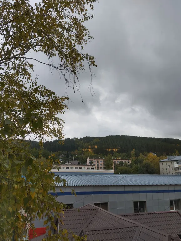 Очень чистая комфортная квартира в центре