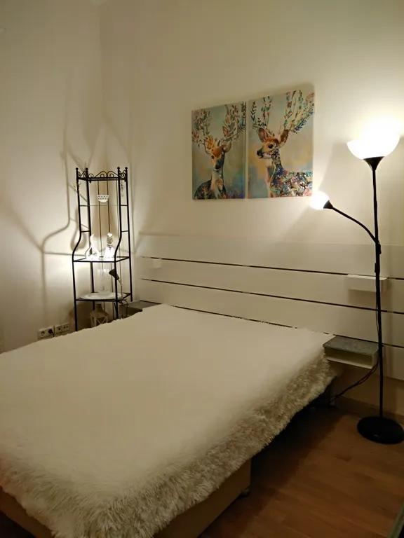 Квартира Апартамент у летнего сада — аренда посуточно в Санкт-Петербург