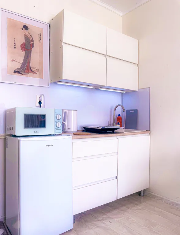 Студия для пары с видом на закат вблизи Сколково