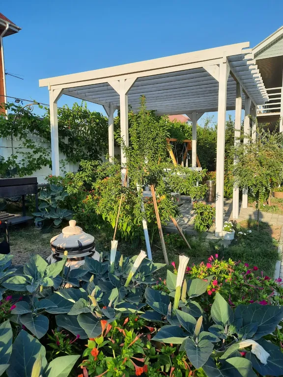 Студия с собственной террасой и кухней