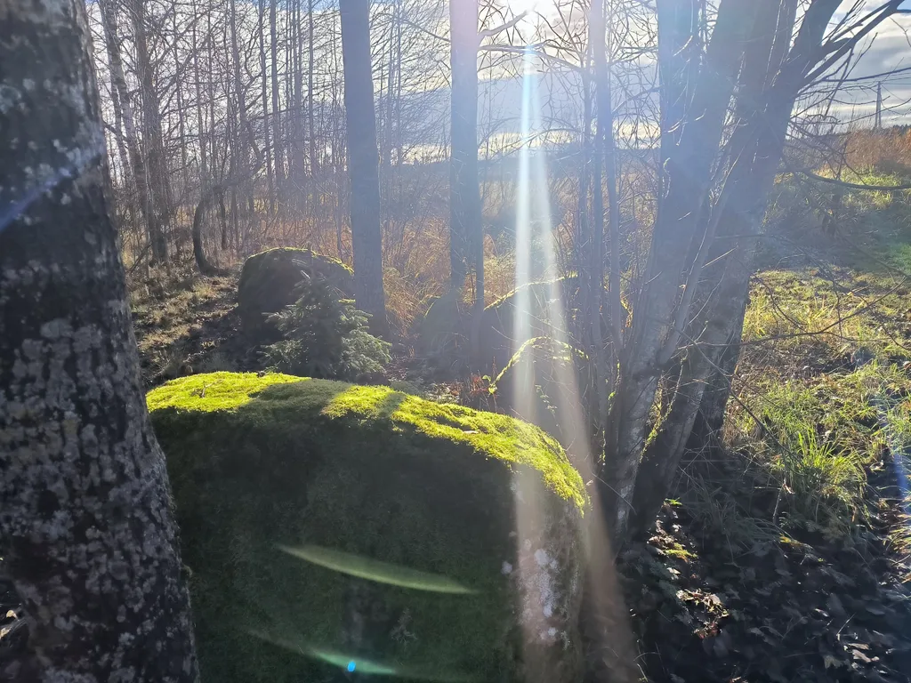 Купольный дом на домашней ферме