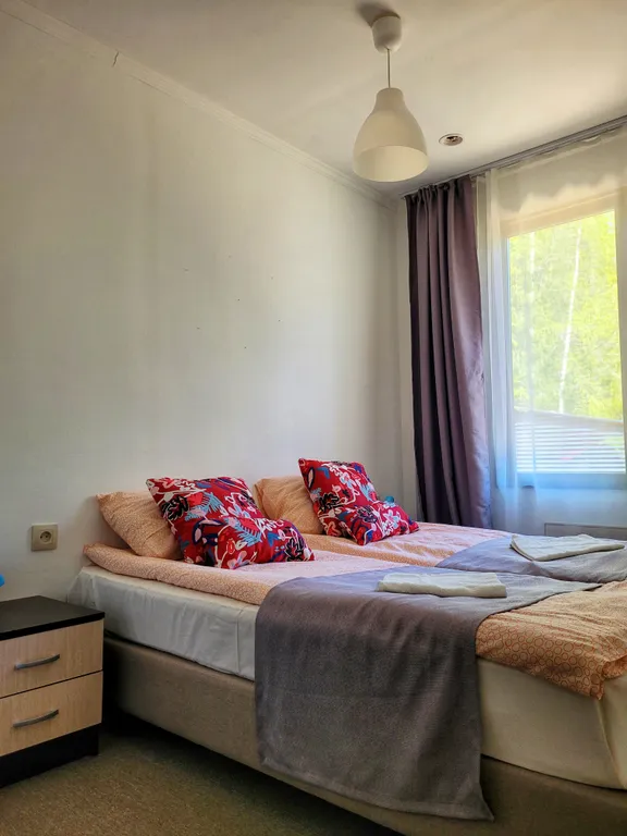 Brusnika village коттедж с видом на озеро