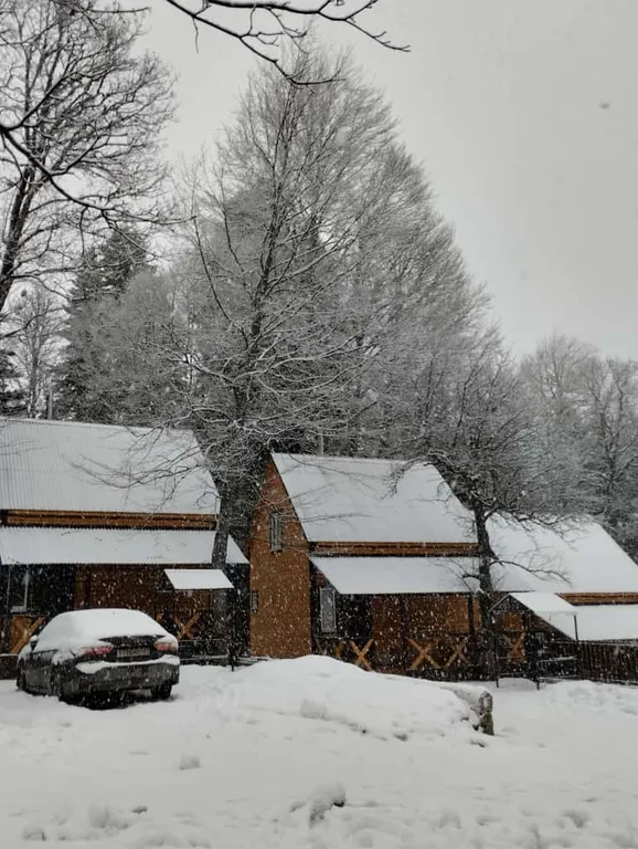 Коттедж 3-комнатный Дом — Архыз