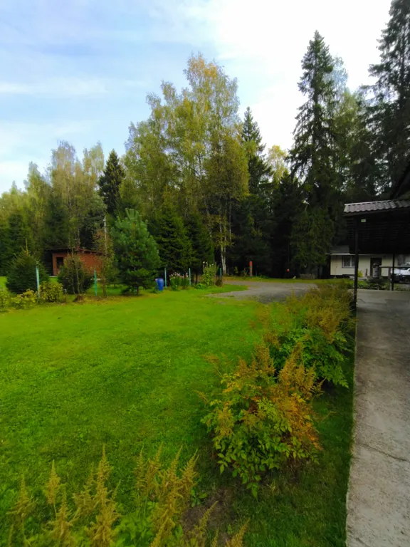 Коттедж Уютный дом в окружении векового леса — Рогачево