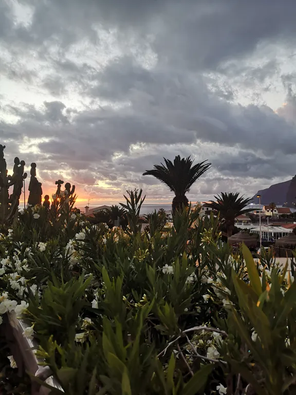 4-комнатная Квартира