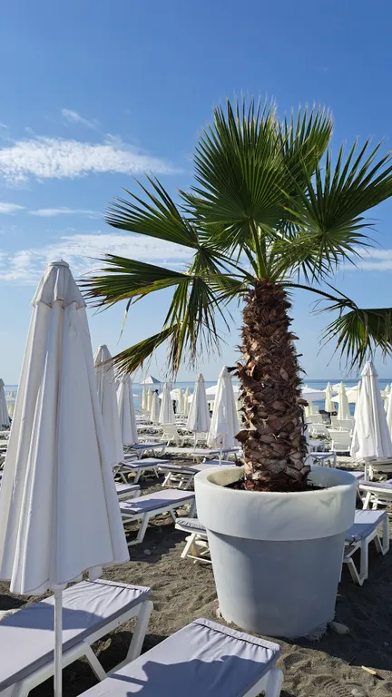 Квартира Уютная квартира у моря — Сириус