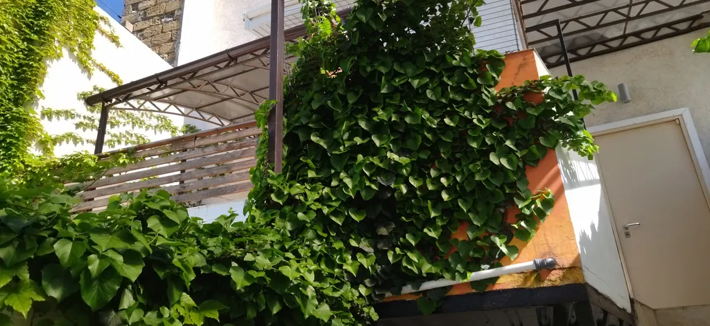 Двухуровневые апартаменты с отдельным входом в Старом городе