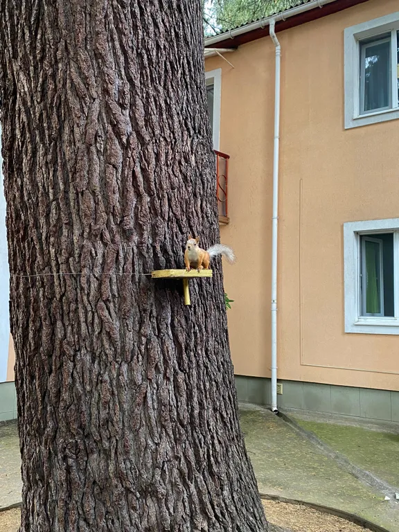 Квартира в центре Ялты на Чехова