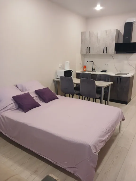 Уютная квартира-студия