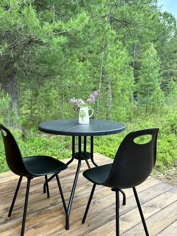 Домик в тихом и спокойном месте в окружении леса