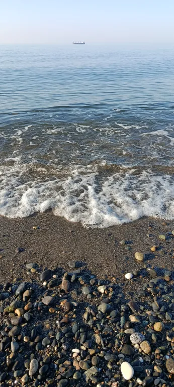 Двухкомнатные апартаменты на берегу моря