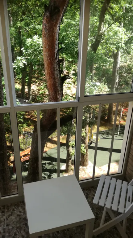 Студия в Сосновом бору